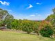 Photo - 1013 Bells Line Of Road, Kurrajong Hills NSW 2758 - Image 3