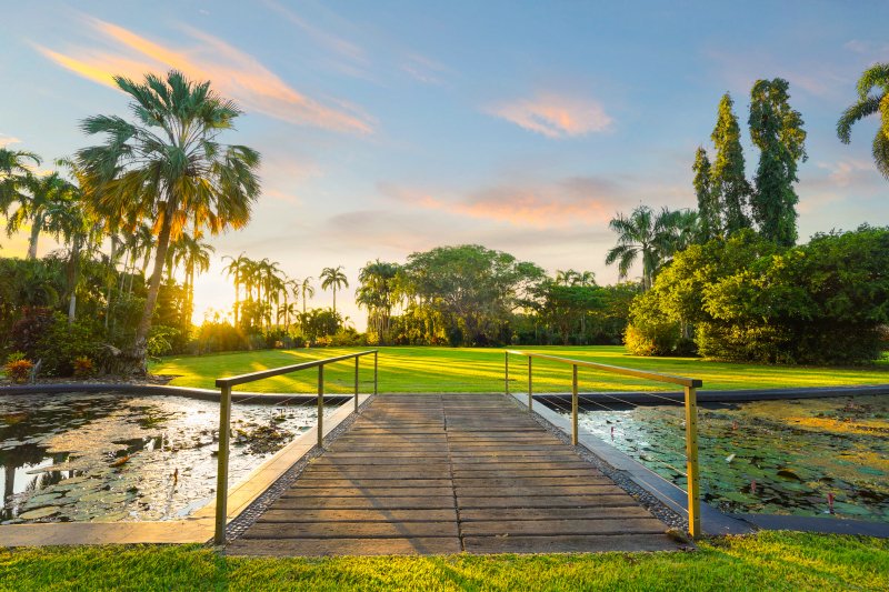 Photo - 1015 Mcmillans Road, Knuckey Lagoon NT 0828 - Image 20