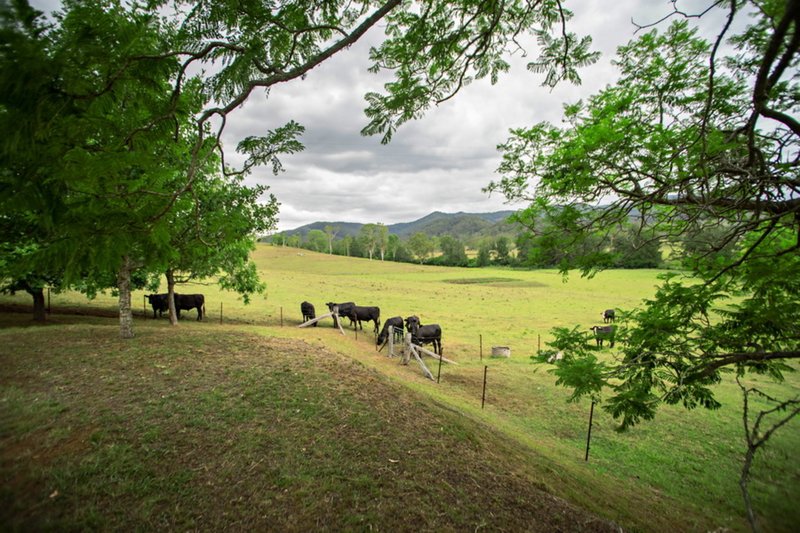 Photo - 1015 Wherrol Flat Road, Wherrol Flat NSW 2429 - Image 8