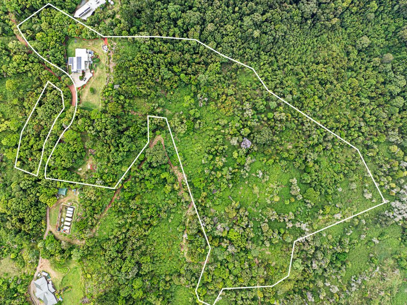 Photo - 10/163 Curtis Road, Tamborine Mountain QLD 4272 - Image 30