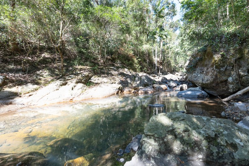 Photo - 10/163 Curtis Road, Tamborine Mountain QLD 4272 - Image 35