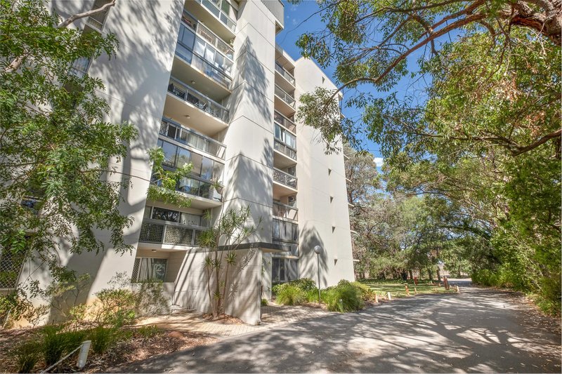 Photo - 10/169 Railway Parade, Mount Lawley WA 6050 - Image 17