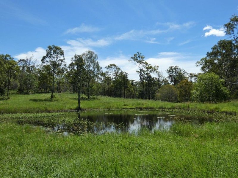 Photo - 1019 Tableland Road, Mount Maria QLD 4674 - Image 3