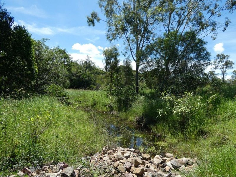 Photo - 1019 Tableland Road, Mount Maria QLD 4674 - Image 20