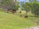 Photo - 102-104 Panicum Close, Veresdale Scrub QLD 4285 - Image 25