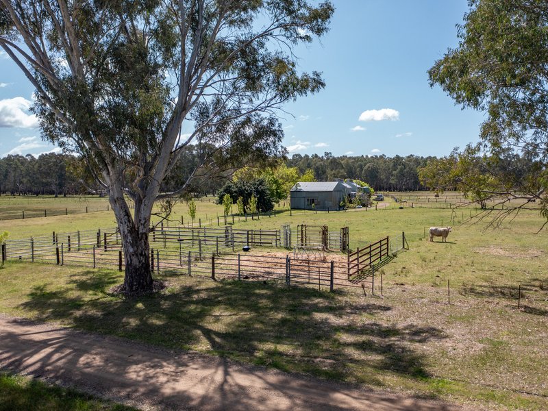 Photo - 102 Ambrosio Road, North Wangaratta VIC 3678 - Image 4