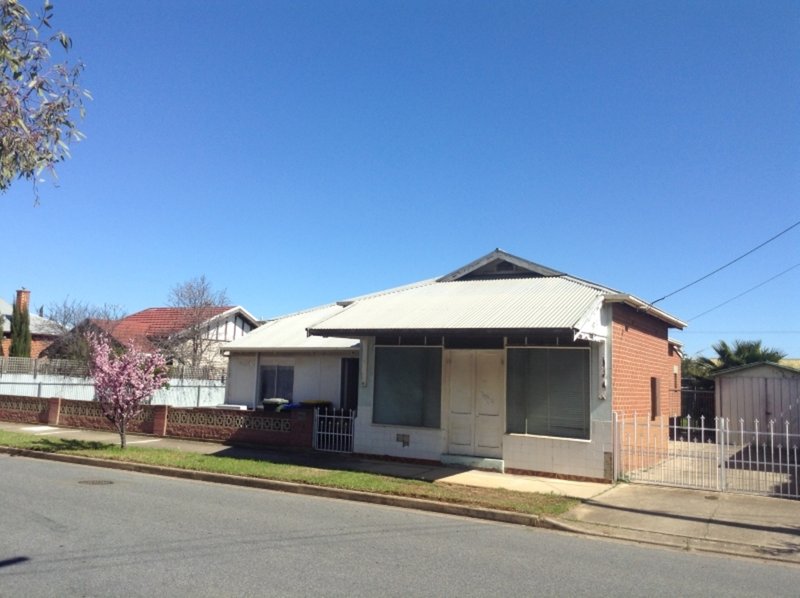 102 Cedar Avenue, Royal Park SA 5014