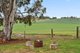 Photo - 102 Robert Steele Road, Seppeltsfield SA 5355 - Image 29