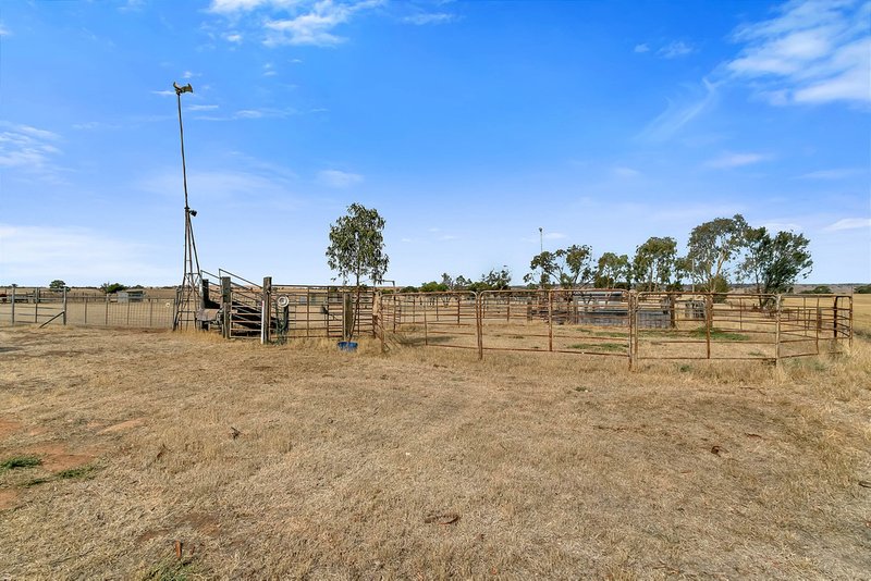 Photo - 1020 Old Main Road South, Riverton SA 5412 - Image 15