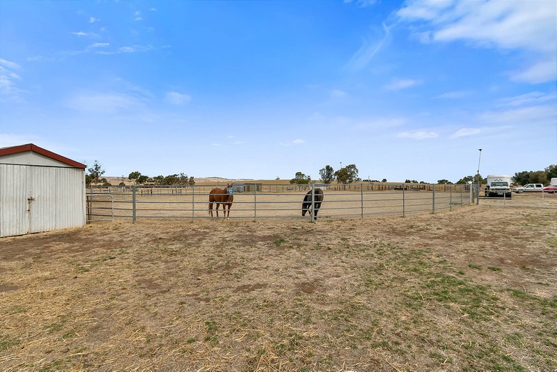 Photo - 1020 Old Main Road South, Riverton SA 5412 - Image 20