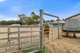 Photo - 1020 Old Main Road South, Riverton SA 5412 - Image 21