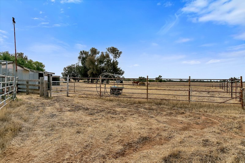 Photo - 1020 Old Main Road South, Riverton SA 5412 - Image 25