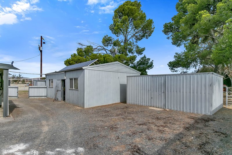 Photo - 1020 Old Main Road South, Riverton SA 5412 - Image 26