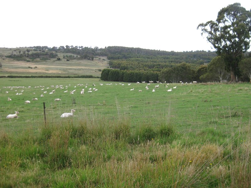 Photo - 1020 Stonehenge Road, Stonehenge TAS 7120 - Image 4