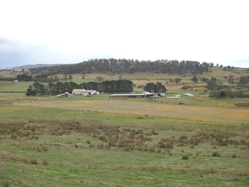 Photo - 1020 Stonehenge Road, Stonehenge TAS 7120 - Image 6