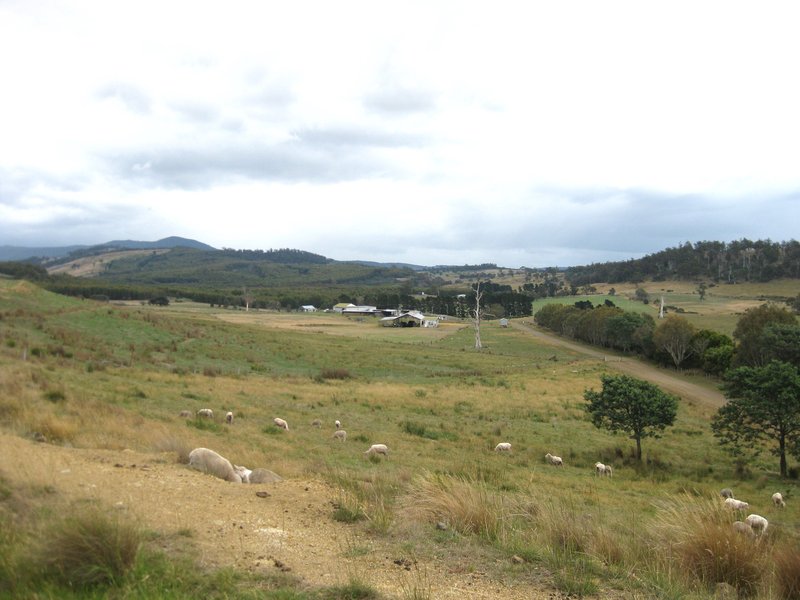 Photo - 1020 Stonehenge Road, Stonehenge TAS 7120 - Image 7