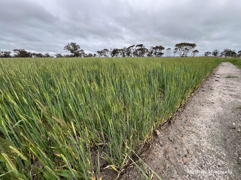 Photo - 1021 Kwobrup Road, Pallinup WA 6335 - Image 9