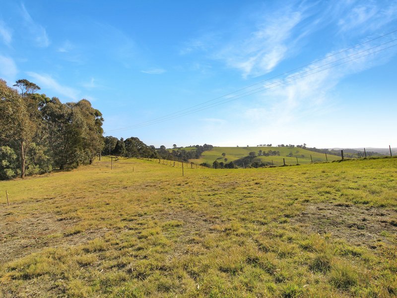 Photo - 1023 Tambo Upper Road, Bruthen VIC 3885 - Image 3