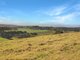 Photo - 1023 Tambo Upper Road, Bruthen VIC 3885 - Image 4