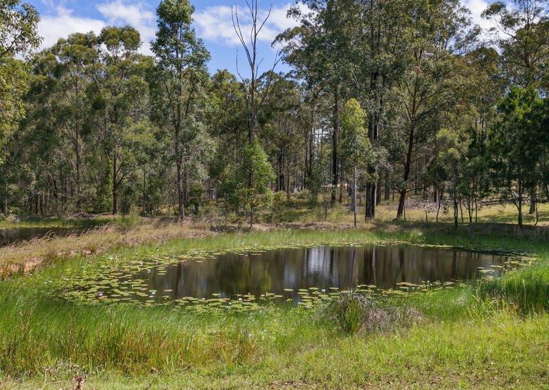 Photo - 1026 Comboyne Road, Cedar Party NSW 2429 - Image 4