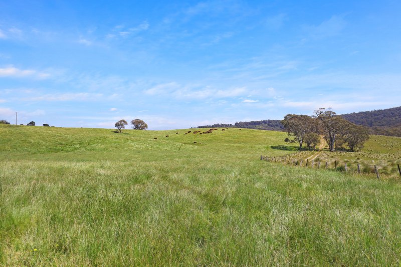 Photo - 1026 Lower Bendoc Road, Bendoc VIC 3888 - Image 3