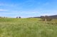 Photo - 1026 Lower Bendoc Road, Bendoc VIC 3888 - Image 3