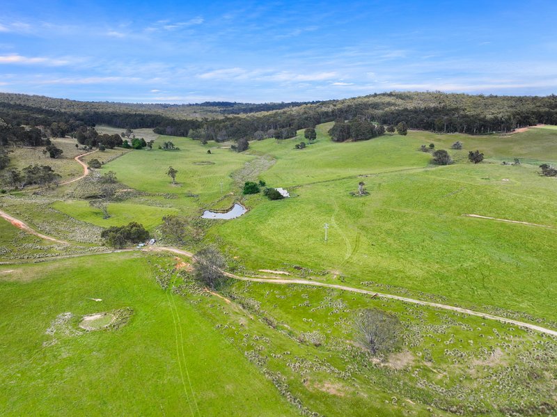 Photo - 1026 Lower Bendoc Road, Bendoc VIC 3888 - Image 5