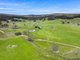 Photo - 1026 Lower Bendoc Road, Bendoc VIC 3888 - Image 5