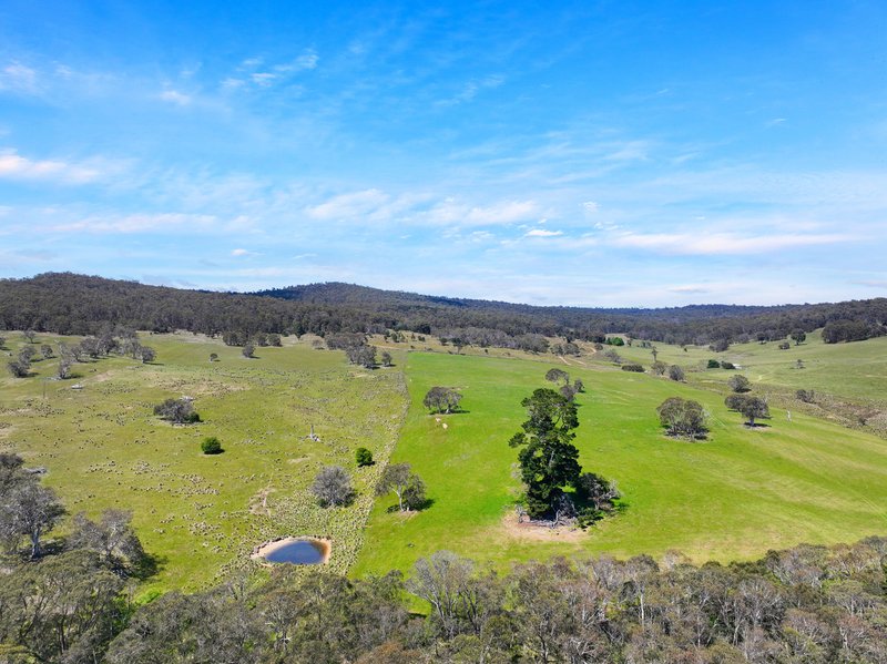 Photo - 1026 Lower Bendoc Road, Bendoc VIC 3888 - Image 9