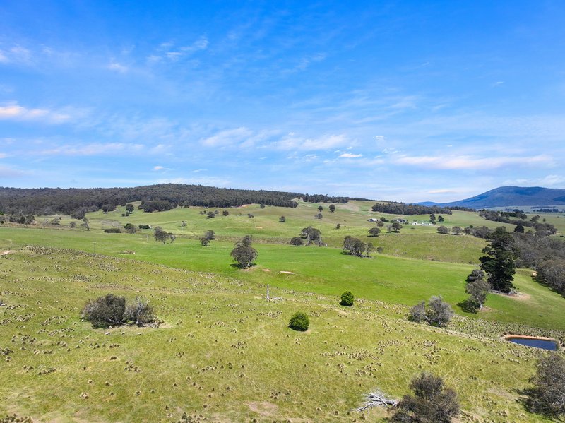 Photo - 1026 Lower Bendoc Road, Bendoc VIC 3888 - Image 13