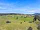 Photo - 1026 Lower Bendoc Road, Bendoc VIC 3888 - Image 13