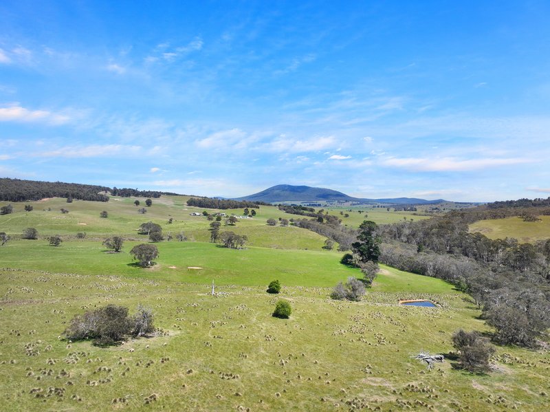 Photo - 1026 Lower Bendoc Road, Bendoc VIC 3888 - Image 14