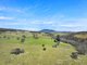 Photo - 1026 Lower Bendoc Road, Bendoc VIC 3888 - Image 14