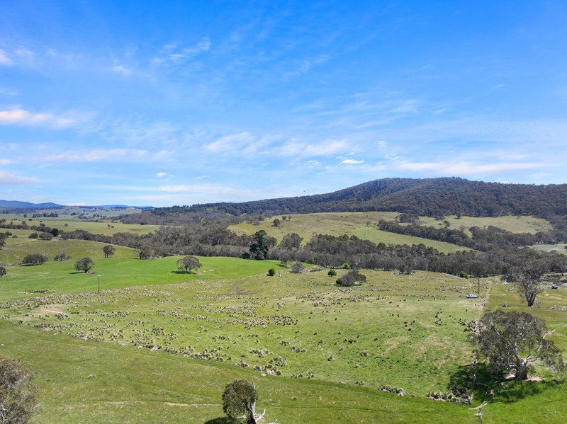 Photo - 1026 Lower Bendoc Road, Bendoc VIC 3888 - Image 15