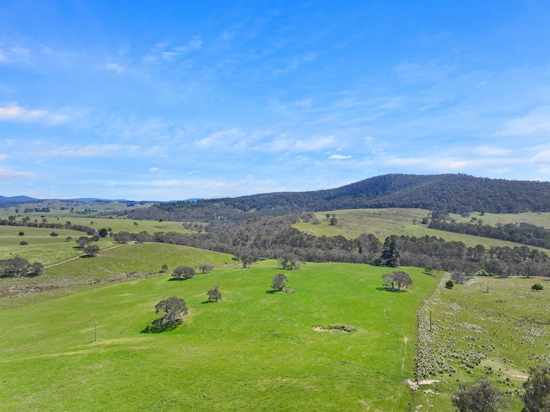 Photo - 1026 Lower Bendoc Road, Bendoc VIC 3888 - Image 16