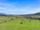 Photo - 1026 Lower Bendoc Road, Bendoc VIC 3888 - Image 17