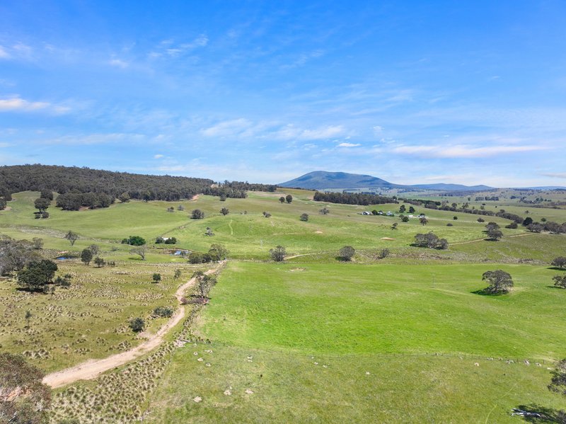 Photo - 1026 Lower Bendoc Road, Bendoc VIC 3888 - Image 18