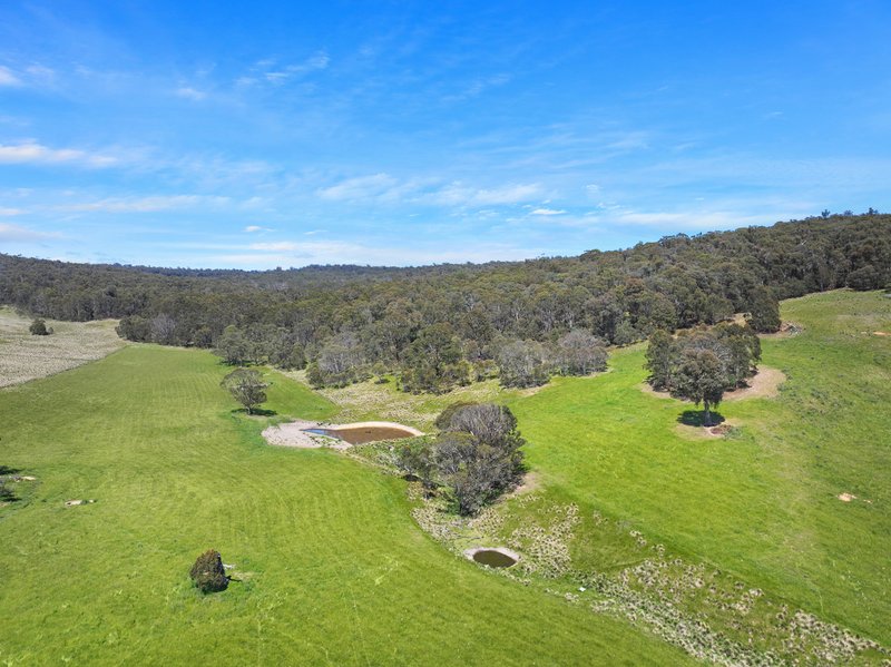 Photo - 1026 Lower Bendoc Road, Bendoc VIC 3888 - Image 21