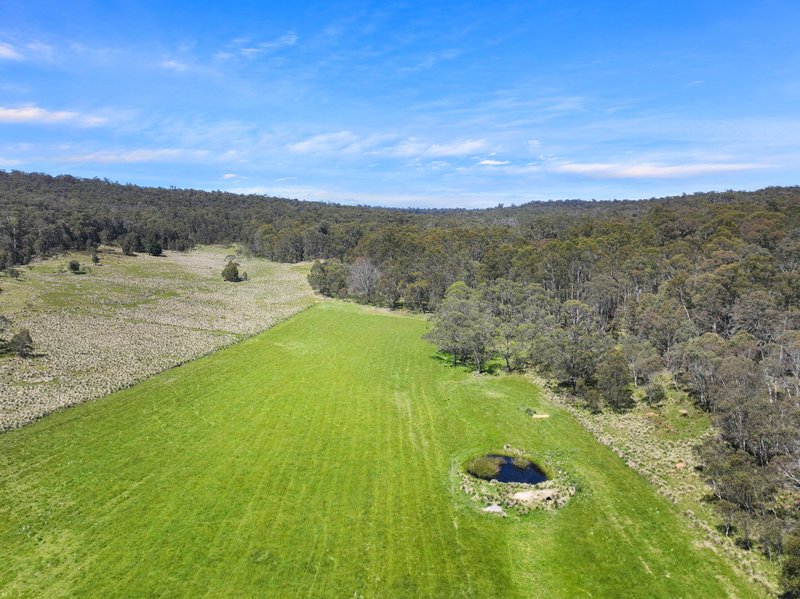 Photo - 1026 Lower Bendoc Road, Bendoc VIC 3888 - Image 23