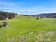 Photo - 1026 Lower Bendoc Road, Bendoc VIC 3888 - Image 27