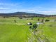 Photo - 1026 Lower Bendoc Road, Bendoc VIC 3888 - Image 28