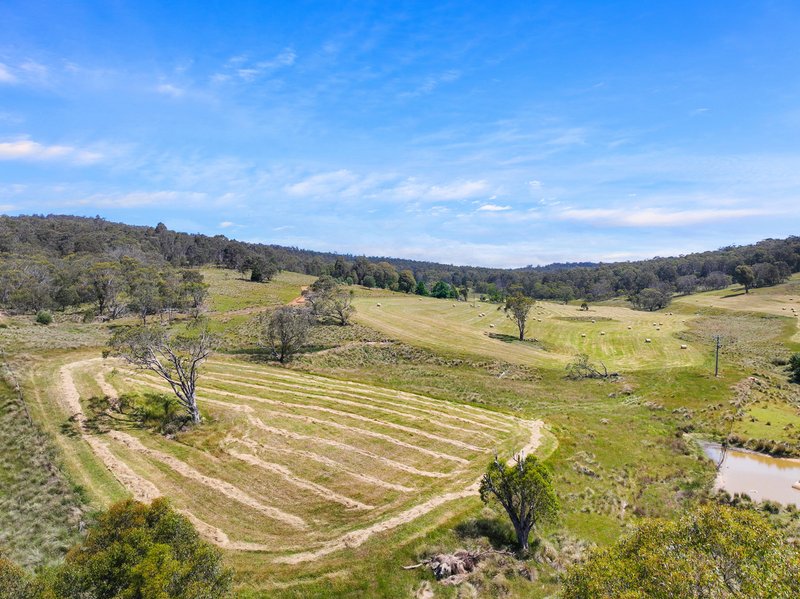 Photo - 1026 Lower Bendoc Road, Bendoc VIC 3888 - Image 31