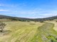 Photo - 1026 Lower Bendoc Road, Bendoc VIC 3888 - Image 33