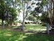 Photo - 1026 Tyringham Road, Dorrigo NSW 2453 - Image 1