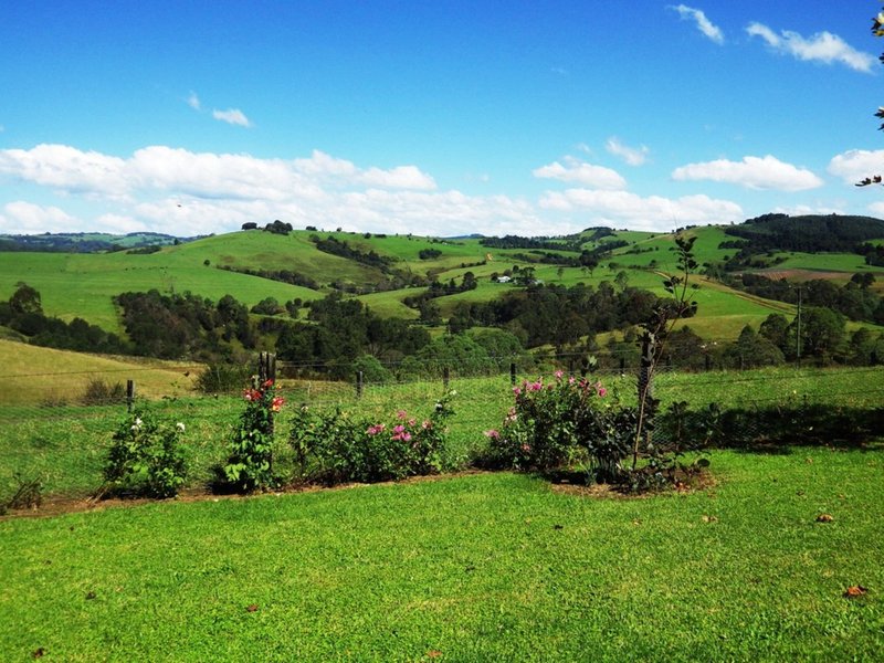 Photo - 1026 Tyringham Road, Dorrigo NSW 2453 - Image 9