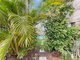 Photo - 10/261- 265 Sheridan Street, Cairns City QLD 4870 - Image 4