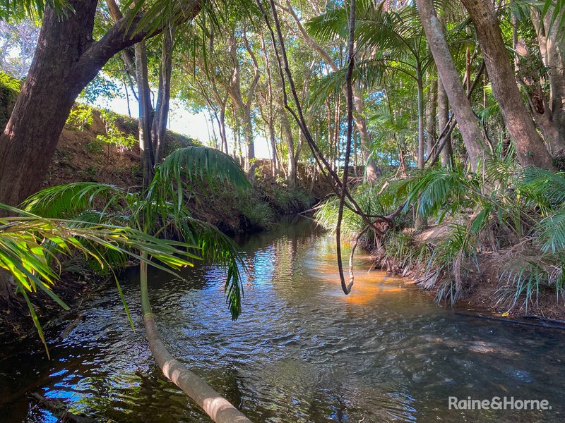 Photo - 1028 Cudgera Creek Road, Cudgera Creek NSW 2484 - Image 7