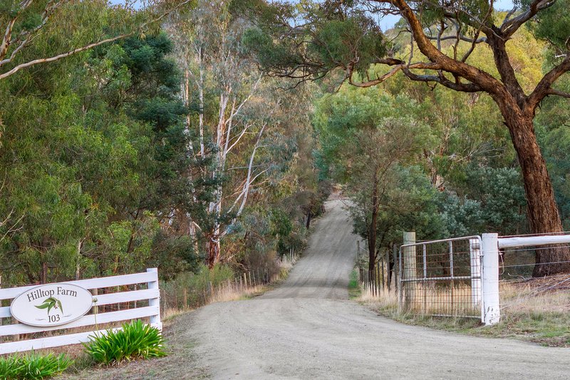 Photo - 103 Bald Hill Road, Kyneton VIC 3444 - Image 22