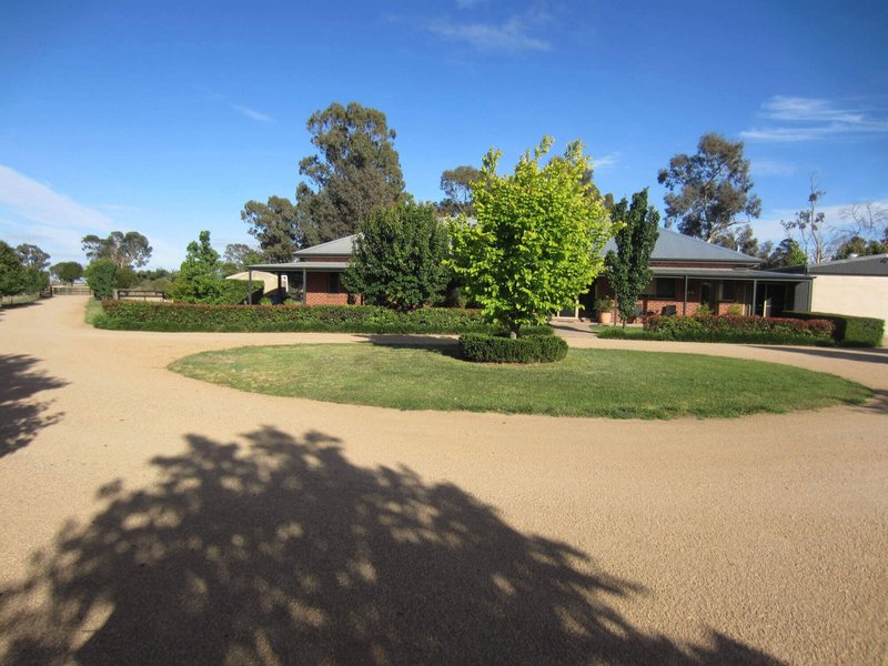 Photo - 103 Barnes Road, Cobram East VIC 3644 - Image 9