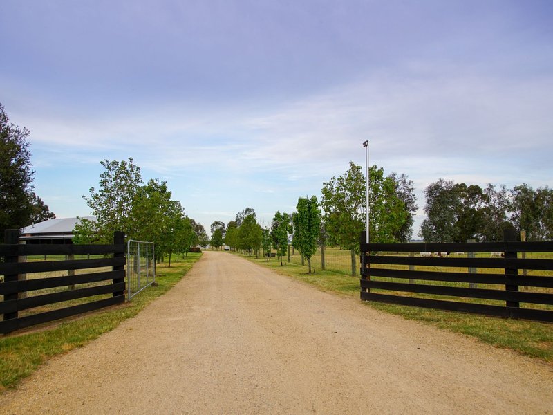 Photo - 103 Barnes Road, Cobram East VIC 3644 - Image 10